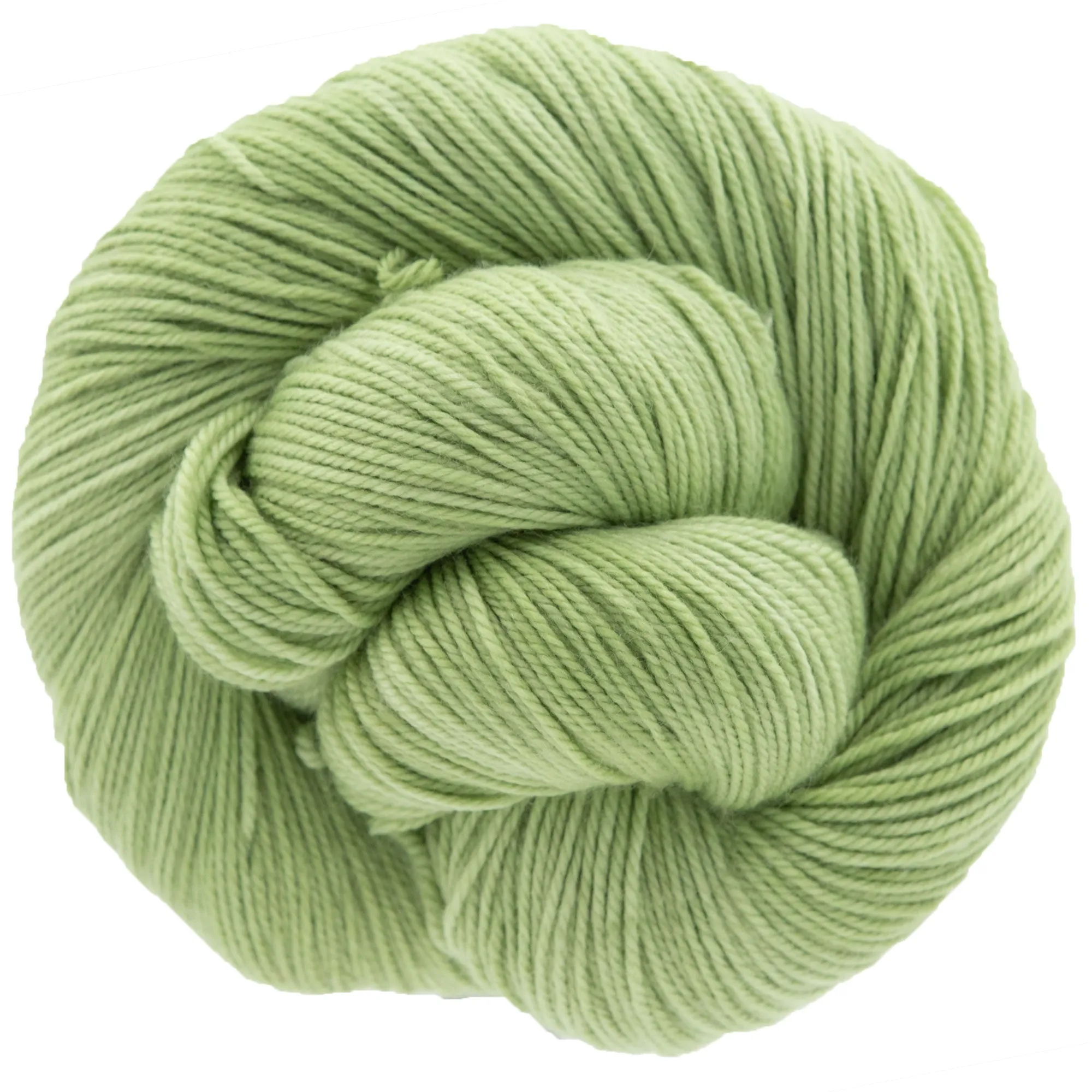 Dream in Color Smooshy Yak Yarn - Sprout