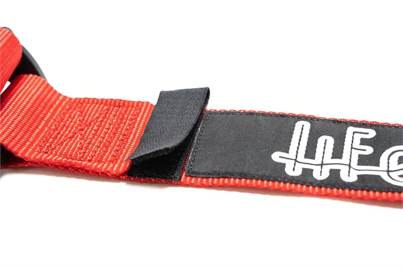 Lifeline Woodcote 6-Point Harness (FIA Approved)